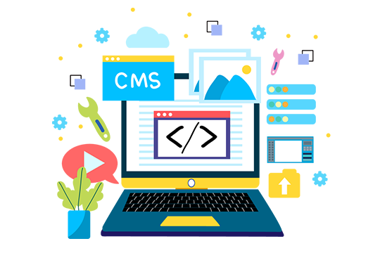 Custom CMS Development